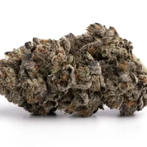 Buy Grand Daddy Purple Weed in Dubai