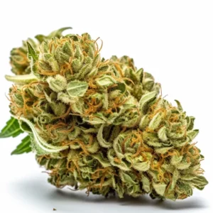 Buy Sour Diesel Marijuana in Dubai